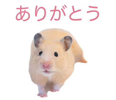おてだまちゃん